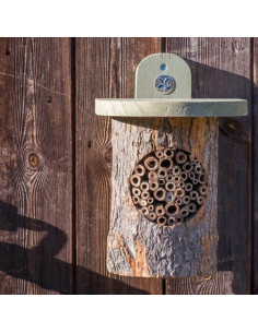 Wildlife World bi bo i træstamme 2