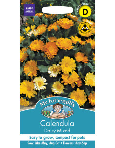 Mr. Forhergill's calendula daisy mix