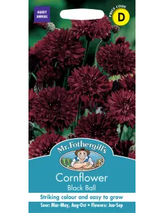 Mr. Fothergill's cornflower black ball