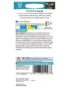 Mr. Fothergill's cornflower black ball 2