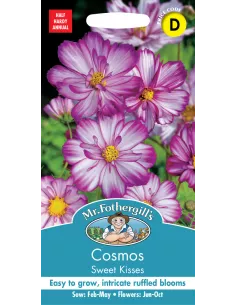 Mr. Fothergill's cosmos sweet kisses
