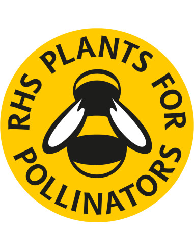 Seedball Beetle Mix hos den engelske gartner shop