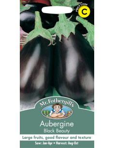 Mr. Fothergill's Aubergine Black Beauty