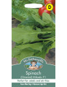Mr. Fothergill's spinach mikado