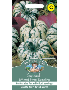 Mr. Fothergill's squash sweet dumpling