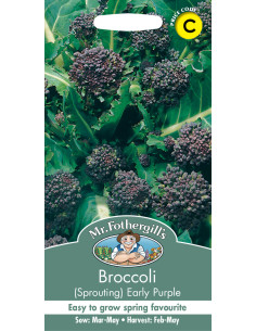 Mr. Fothergill's Broccoli Early Purple