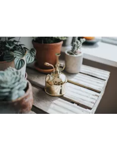 Haws smethwick spritzer messing 2