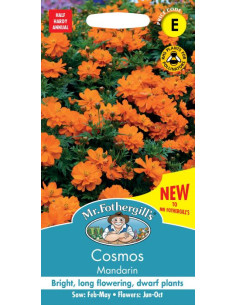 Mr. Fothergill's cosmos mandarin