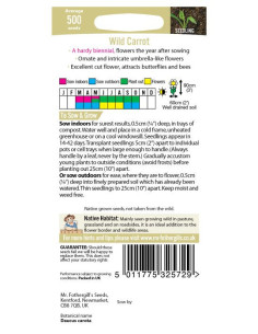Mr. Fothergill's Wildflower Wild Carrot 2