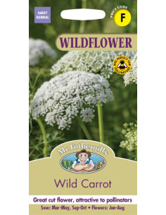 Mr. Fothergill's Wildflower Wild Carrot