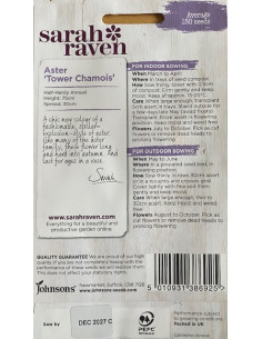 Sarah Raven Asters Tower Chamois 2