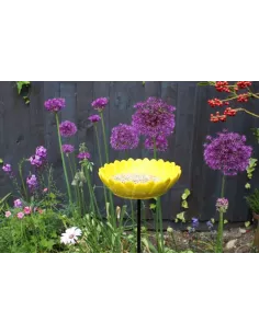 Wildlife World sunflower foderbræt