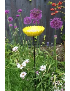 Wildlife World sunflower foderbræt 2