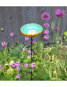 Wildlife World african daisy fuglebad