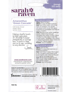 Sarah Raven Amaranthus 'Green Cascade' 2