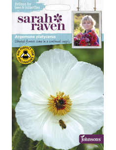 Sarah Raven Argemone platycerus