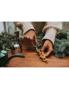 Haws smethwick spritzer stål 2