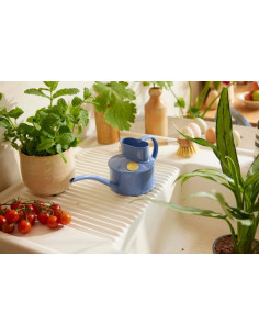 HAWS vandkande the fazeley flow bluebell meadow 2