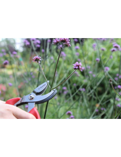 Darlac cut'n'hold håndsaks 2