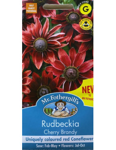 Mr. Fothergill's  rudbeckia cherry brandy