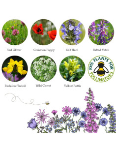 Seedball Hedgehog Mix 2