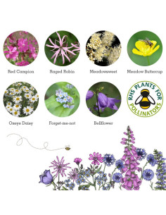 Seedball Shade Mix 2