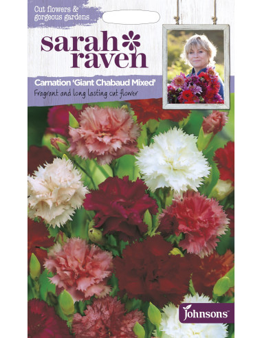 Sarah Raven Carnation 'Giant Chabaud Mixed'