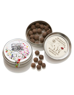 Seedball Artist's Meadow 2