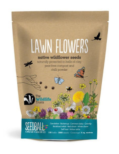 Seedball Grab Bag Lawn Flowers hos den engelske gartner shop