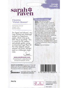 Sarah Raven Cleome 'Violet Queen' 2