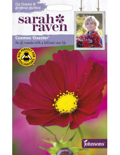 Sarah Raven Cosmos 'Dazzler'