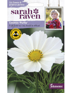 Sarah Raven Cosmos 'Purity'