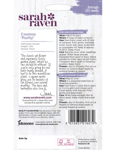 Sarah Raven Cosmos 'Purity' 2