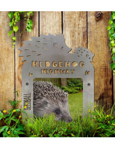 Seedball Hedgehog Highway