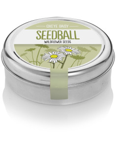 Seedball Oxeye Daisy
