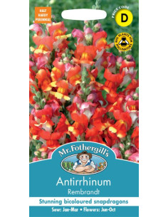 Mr. Fothergill's Antirrhinum Rembrandt