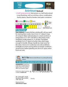 Mr. Fothergill's Antirrhinum Rembrandt 2