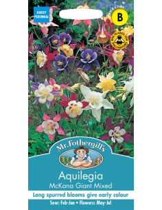 Mr. Fothergill's Aquilegia McKana Giant