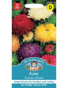 Mr. Fothergill's Aster Duchess Mixed