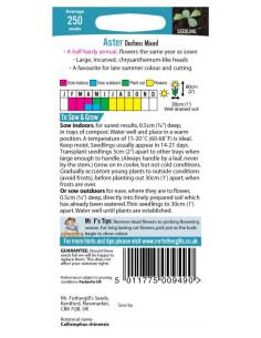 Mr. Fothergill's Aster Duchess Mixed 2
