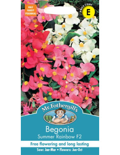 Mr. Fothergill's Begonia Summer Rainbow