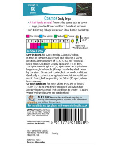 Mr. Fothergill's Cosmos Candy Stripe 2