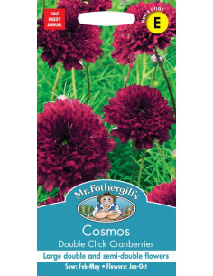 Mr. Fothergill's Cosmos Double Clik Cranberries