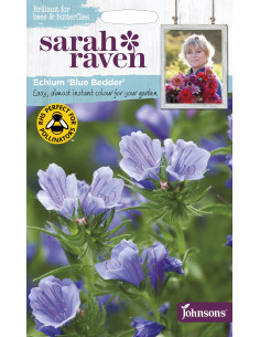 Sarah Raven Echium 'Blue Bedder'