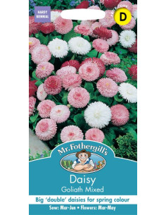 Mr. Fothergill's Daisy Goliath Mixed