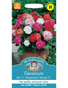 Mr. Fothergill's Geranium Mr F's Mophead