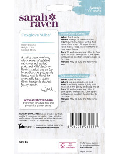 Sarah Raven Foxglove 'Alba' 2
