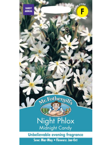 Mr. Fothergill's Night Phlox Midnight Candy