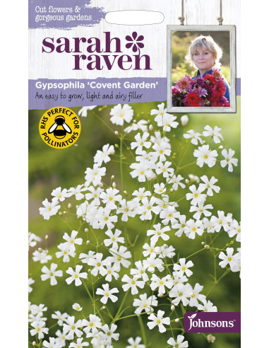 Sarah Raven Gypsophila 'Covent Garden'