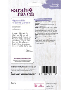 Sarah Raven Gypsophila 'Covent Garden' 2